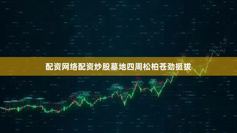 配资网络配资炒股墓地四周松柏苍劲挺拔